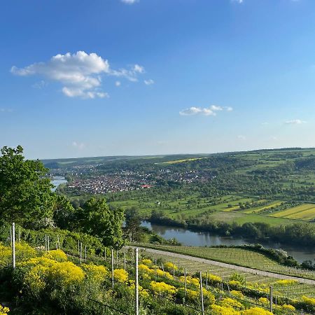 ホテル Maindrei - Schlafen Am Fluss Margetshöchheim エクステリア 写真