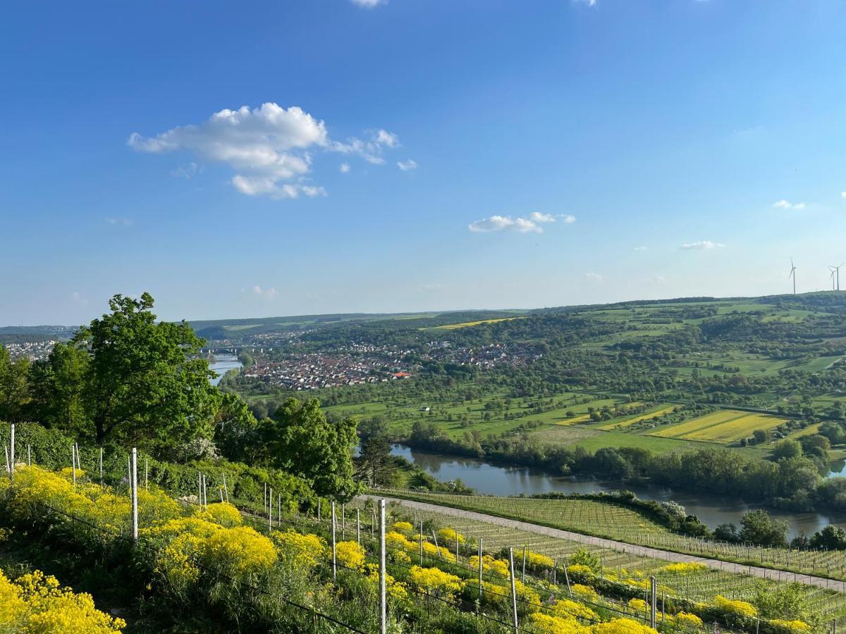 ホテル Maindrei - Schlafen Am Fluss Margetshöchheim エクステリア 写真