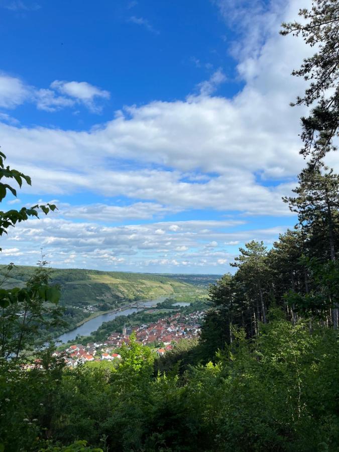 ホテル Maindrei - Schlafen Am Fluss Margetshöchheim エクステリア 写真